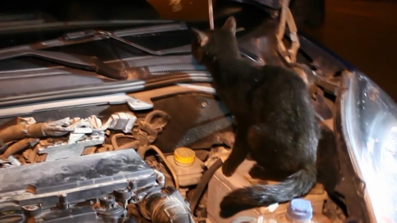 Aksaray’da polis uygulamasında sürpriz