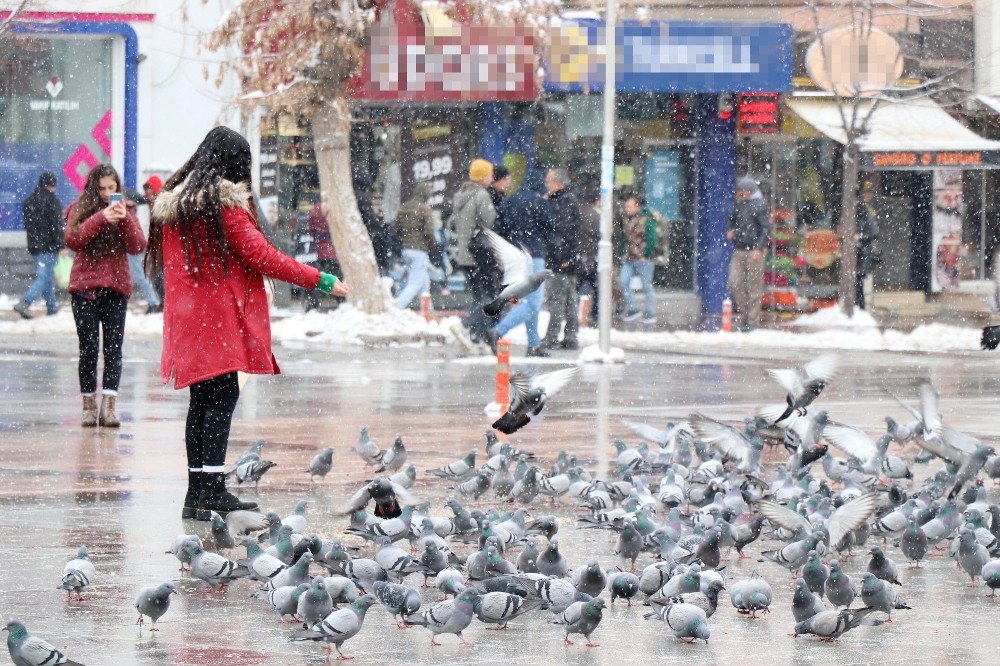 Aksaray’da soğuk havada kuşlara vatandaşlardan yem 