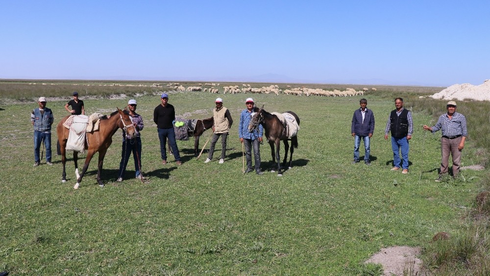 Aksaraylı hayvan üreticilerinin meralarda tuzlu su endişesi 