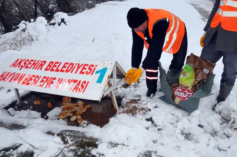 Akşehir Belediyesi hayvanları unutmadı 