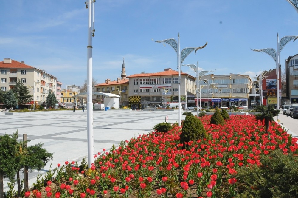Akşehir lalelerle renklendi 