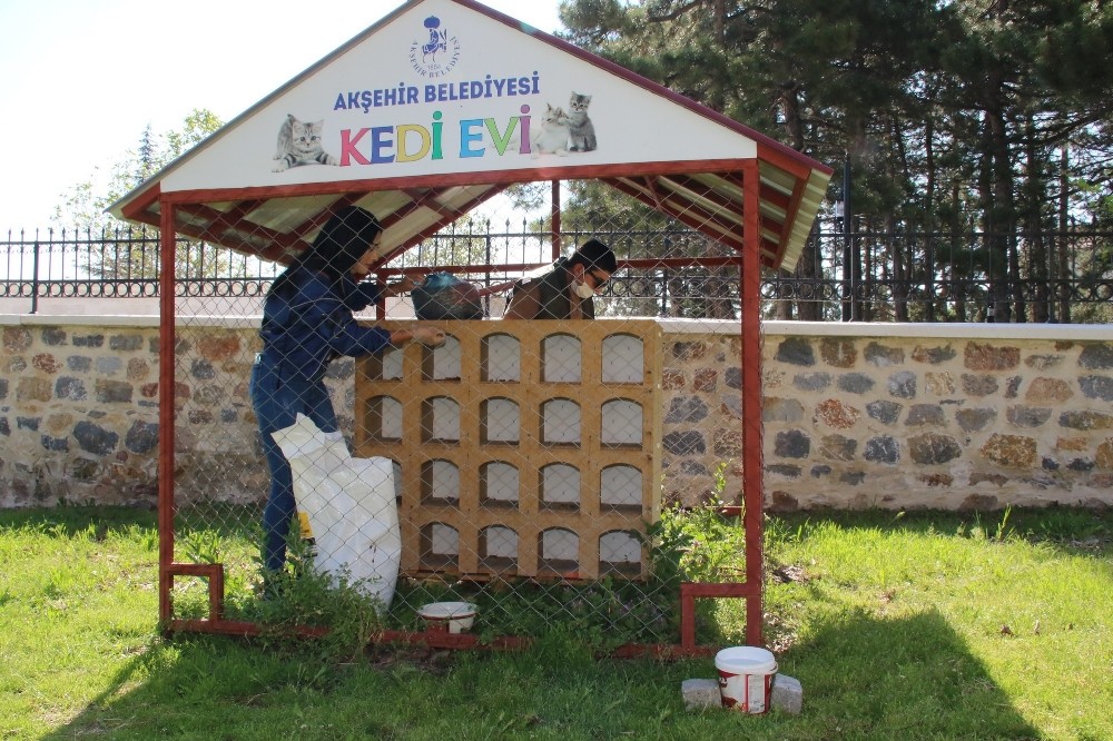 Akşehir’de sokak hayvanları unutulmuyor 