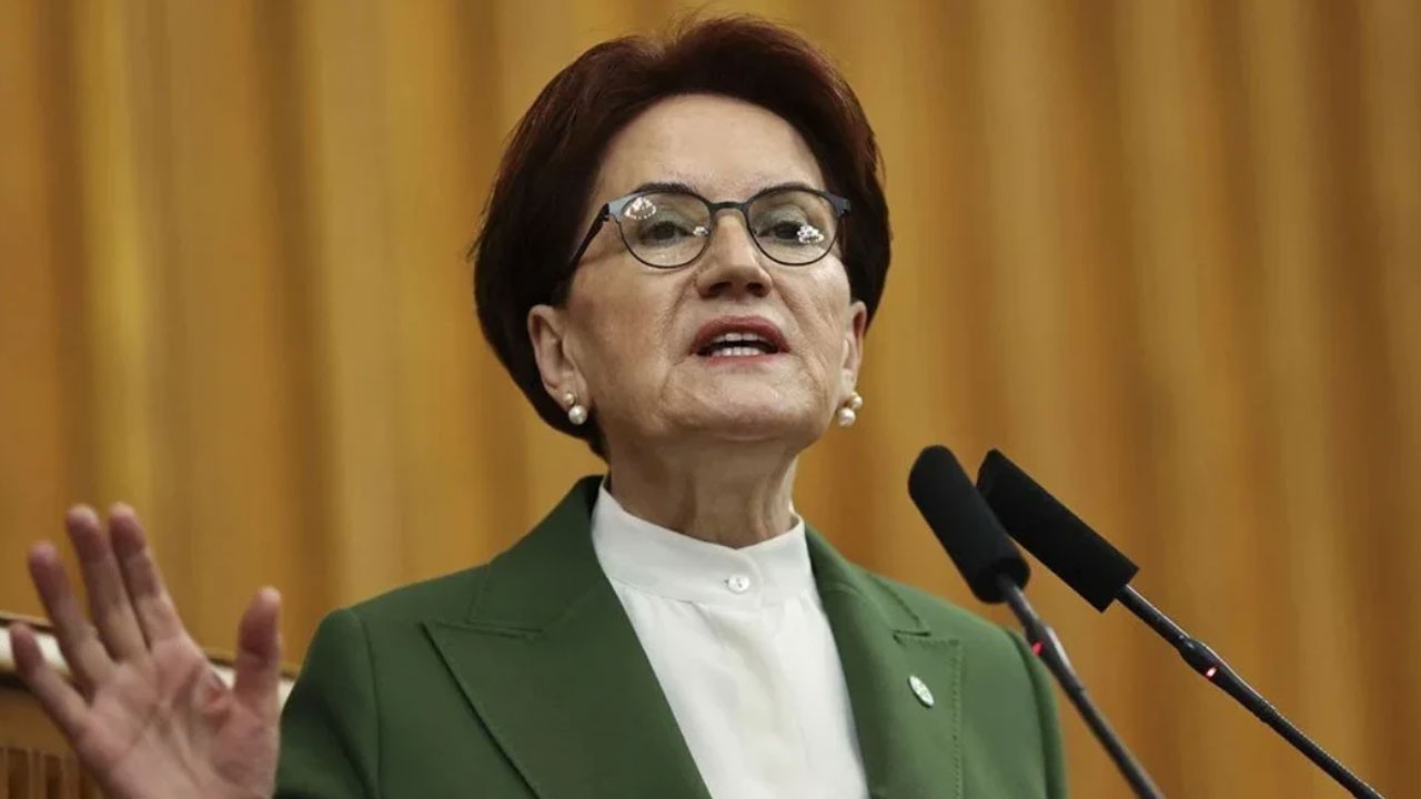 Akşener'den Türkeş mesajı