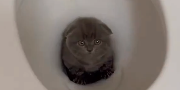 Akşener'in masayı dağıtırken ruh hali...