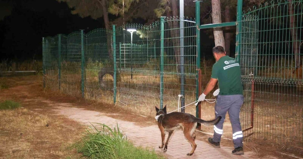 Aksu'daki yangında tahliye edilen 105 köpek Büyükşehir'in bakımevine nakledildi