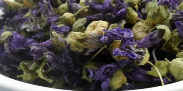 Aktarlarda yok satan ebegümeci neye iyi gelir