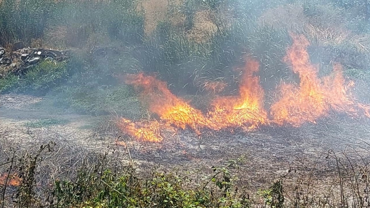 Akyazı'da ormanlık alanda yangın paniği