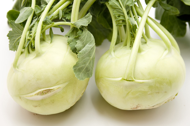 Alabaş otu binbir derde deva