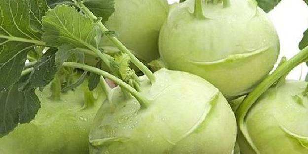 Alabaş turp: İlaç gibi sebze! Alabaş nasıl yenir, faydaları nelerdir?