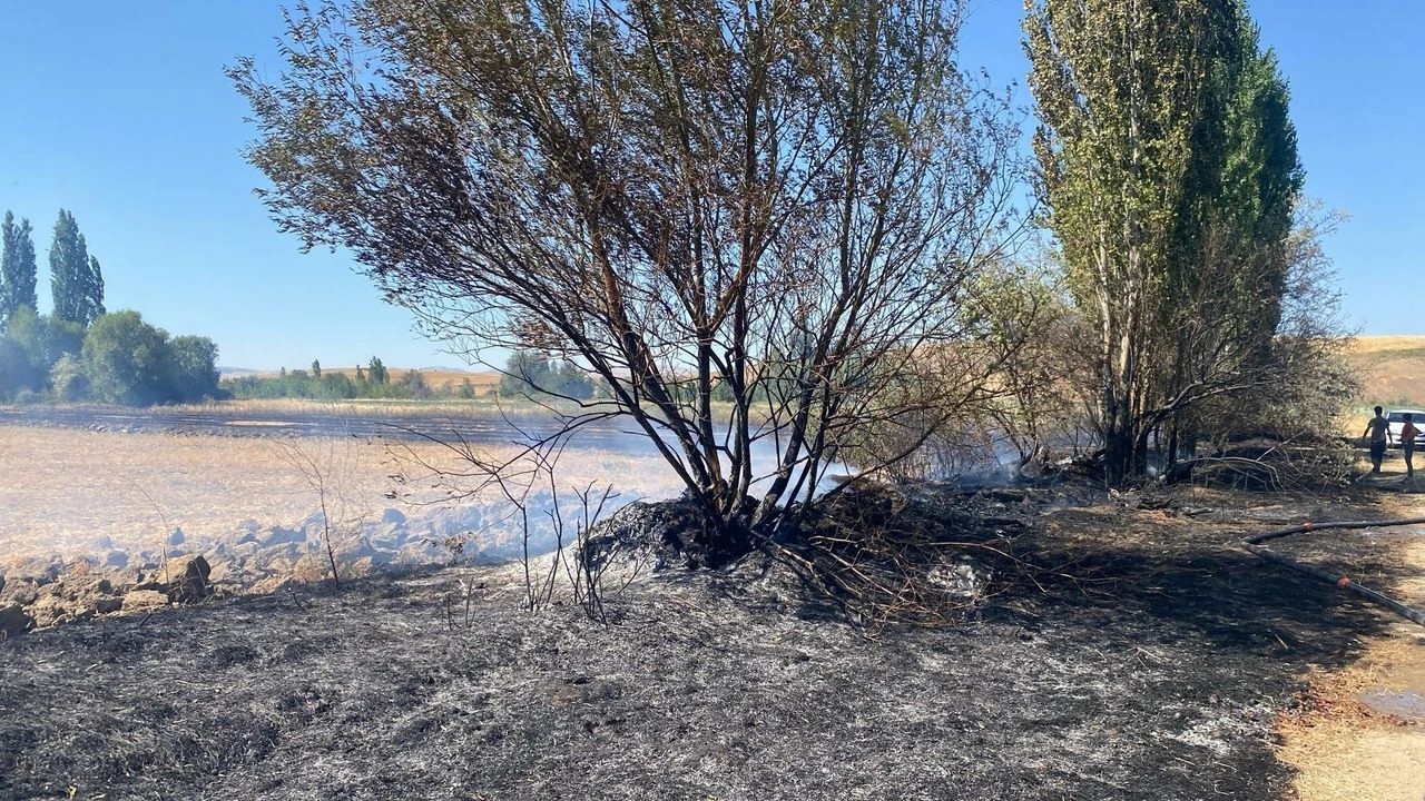 Alaca’da anız yangını: 70 dönümlük arazi kül oldu