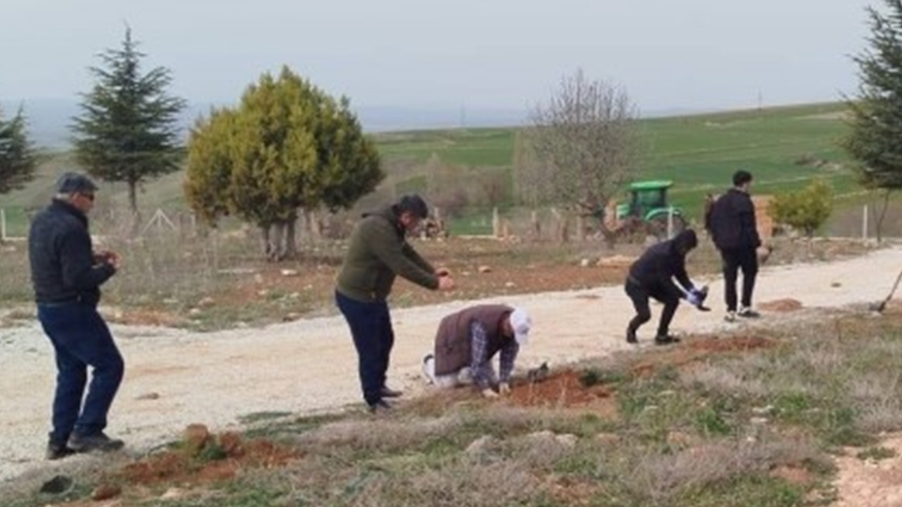 Alaca’da köylüler fidanlarla geleceğe nefes oldu