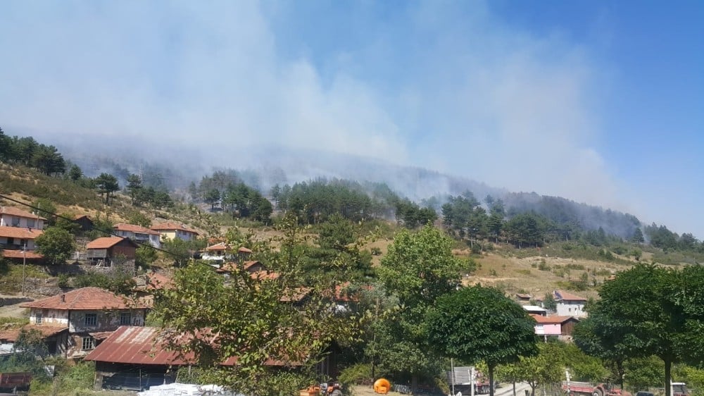 Alaçam dağlarındaki yangın söndürüldü 