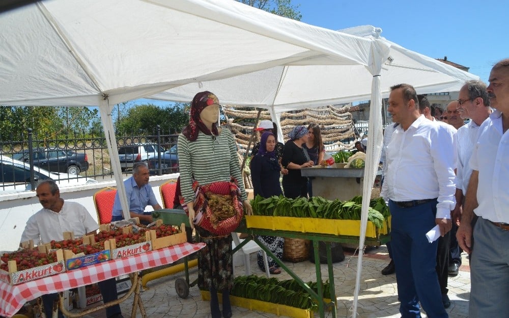 Alaçam’da 1. Tarım Fuarı ilgi gördü 