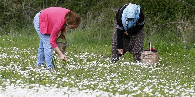Alaçatı Ot Festivali bu yıl ne zaman olacak?