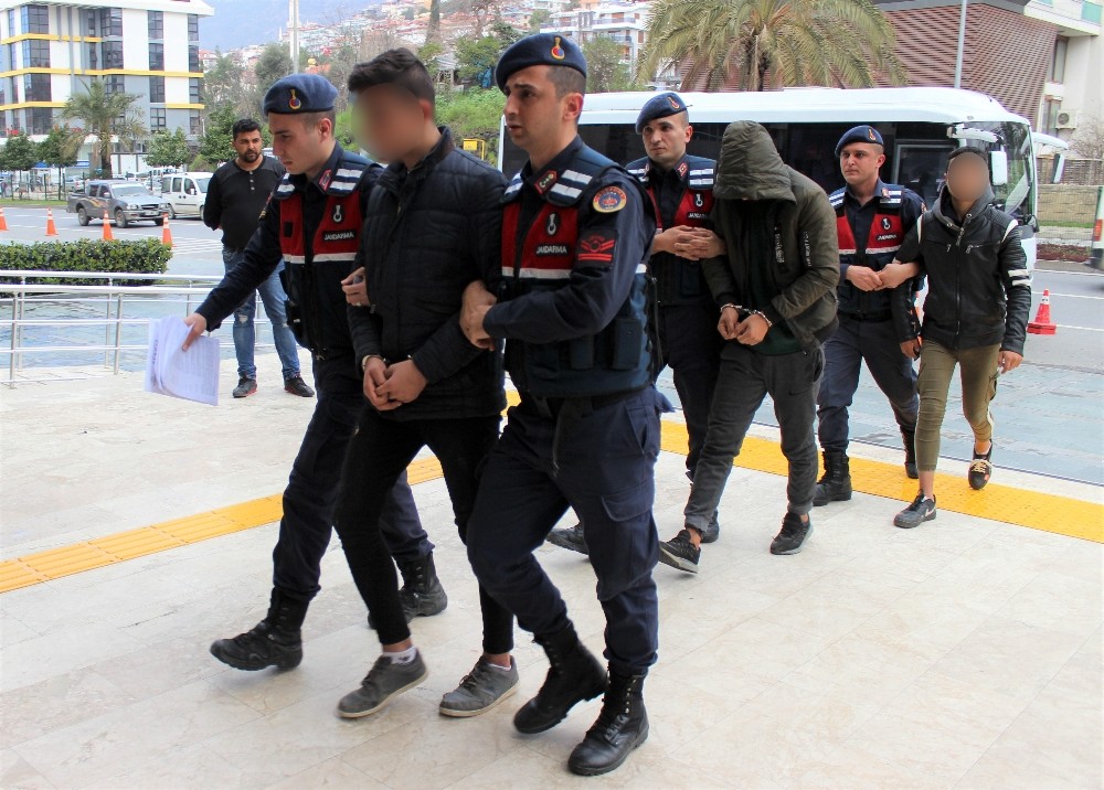 Alanya’da avokado hırsızları jandarmaya takıldı 