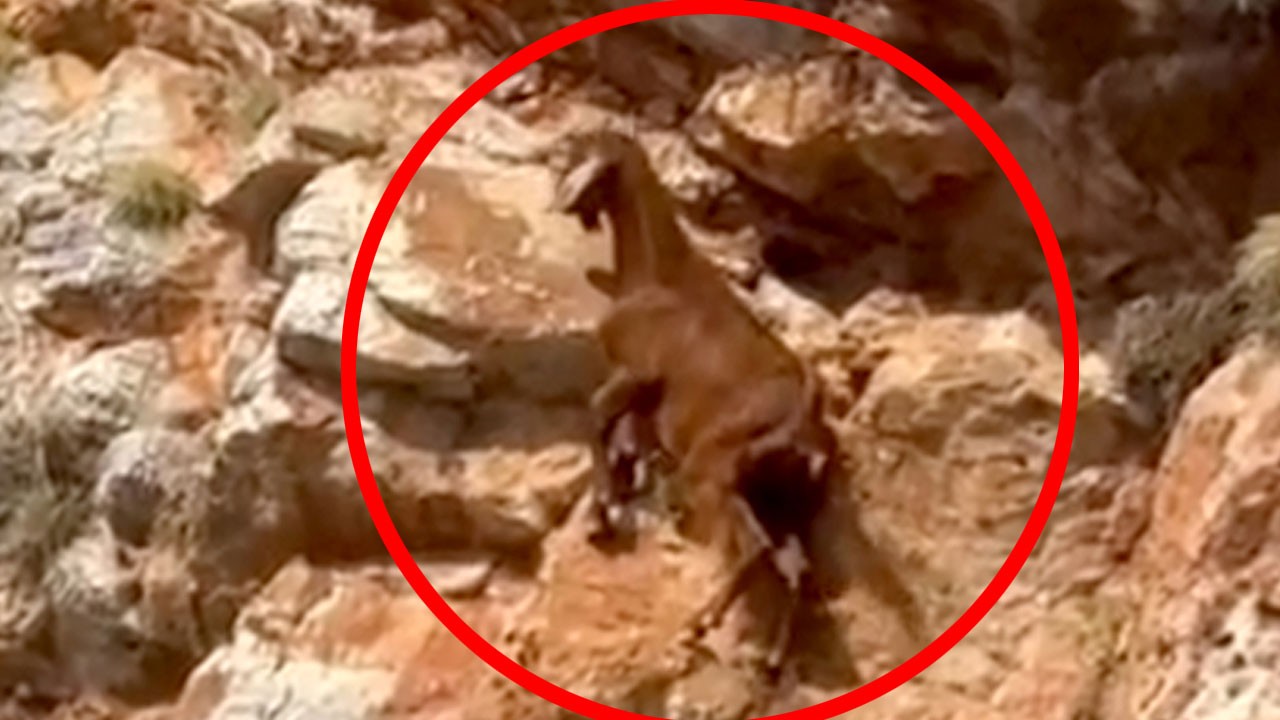 Alanya’da film gibi kurtarma! Kayalıklarda 3 gün mahsur kaldı