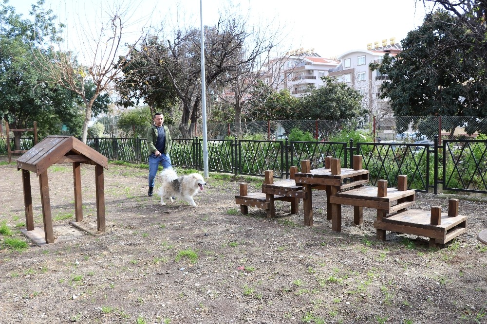 Alanya’da ilk köpek parkı hizmete açıldı 