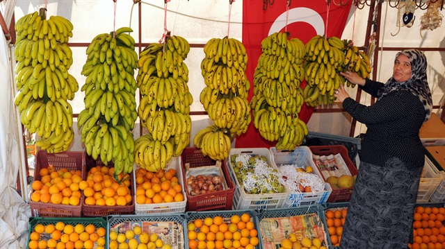 Alanya'da muz örtü altına girdi