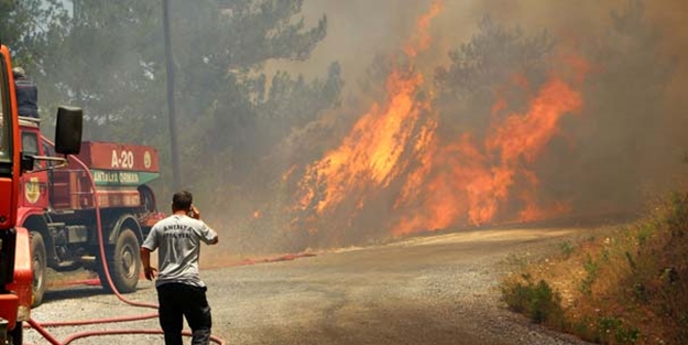 Alanya'da orman yangını! 