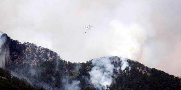 Alanya'da orman yangını