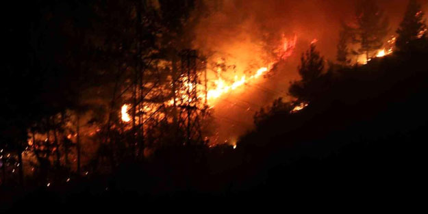 Alanya'da orman yangını