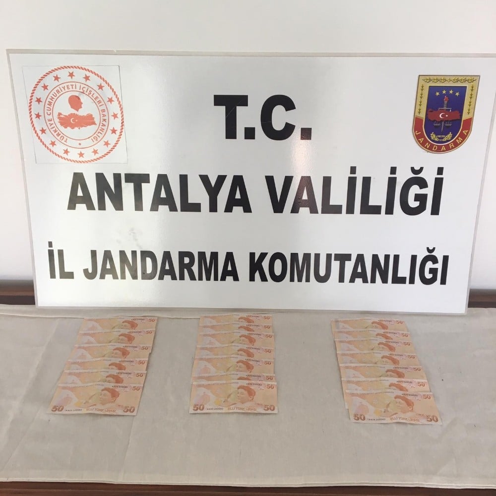 Alanya’da sahte para operasyonu 