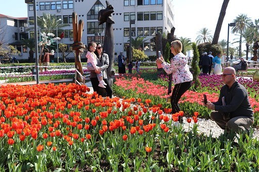 Alanya’da yeşil alanlar renklendiriliyor 