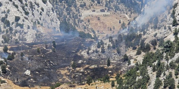 Alanya'daki yangının bilançosu