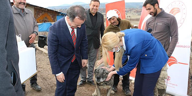 Alarma geçildi! Köpeklerden insanlara bulaşan hastalık ortaya çıktı
