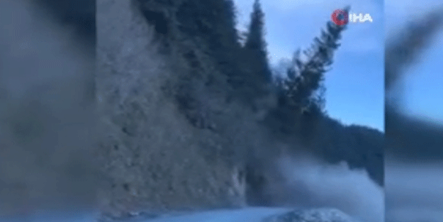 Alaska'da heyelan: Ağaçlar körfeze sürüklendi