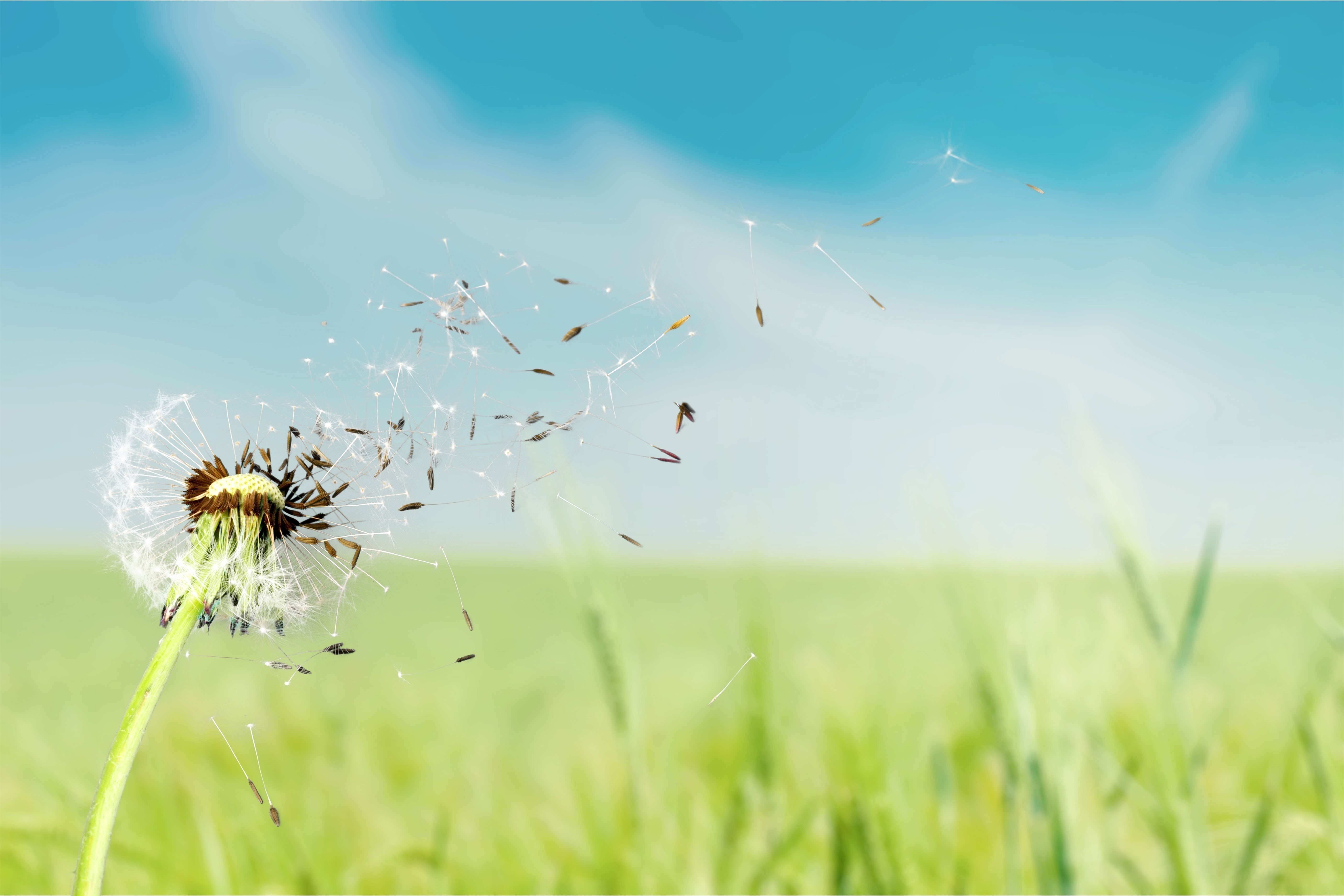 Alerjinin en etkili tedavisi alerjenden kaçınmak