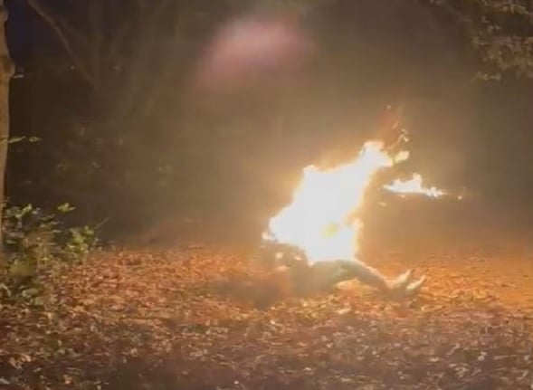 Alev alev yanarak can verdi