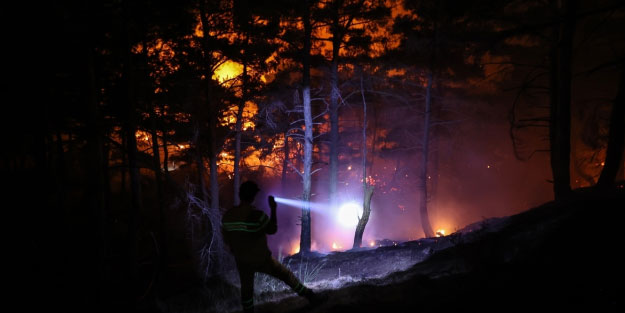 Alevler 30 saati aşkın süredir söndürülemedi