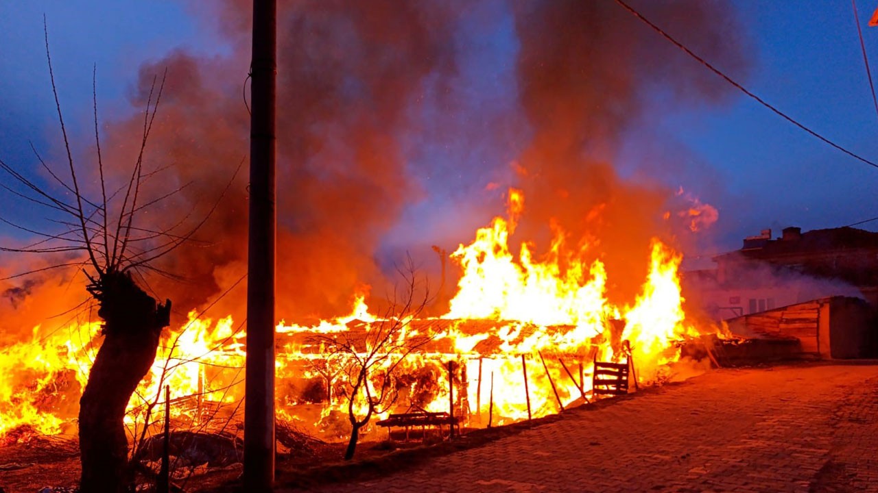 Alevler ahırı sardı! Facia son anda önledi