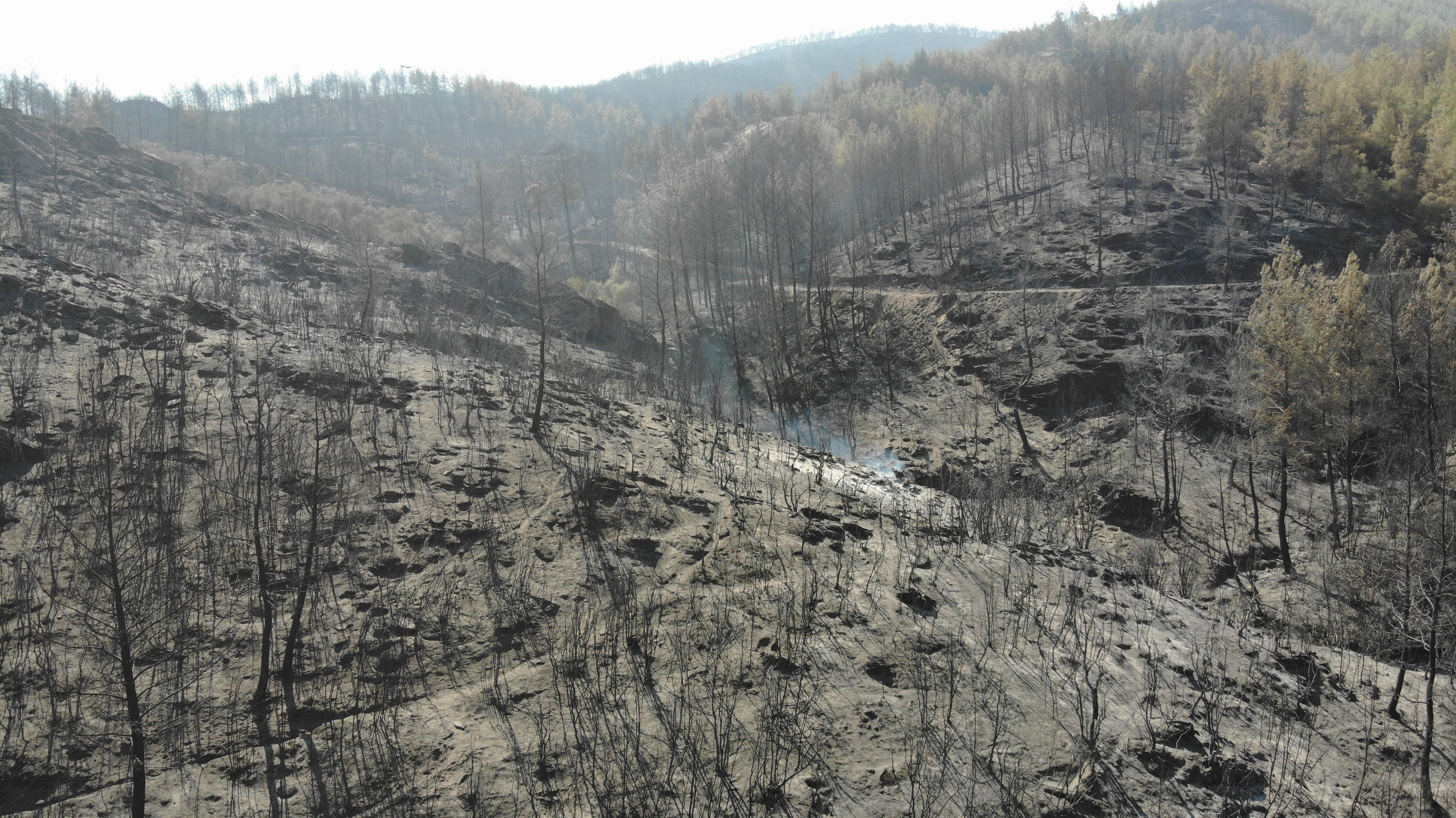 Alevlerden geriye kül kaldı