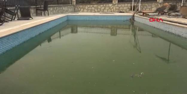 Alevlerin ortasında kalan 3 çocuklu aile havuza girerek kurtuldu!