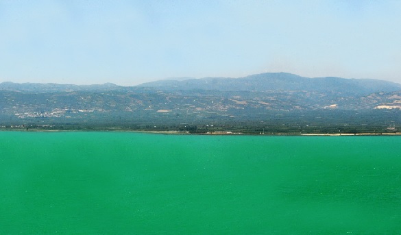 Alg patlaması yaşandı! O gölün rengi bu hale geldi