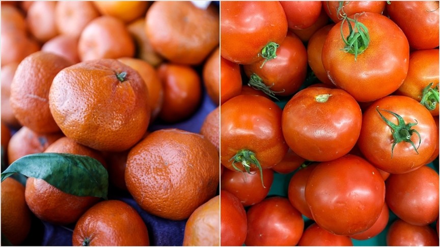 Algıcı Sözcü yöneticileri menemene doydu: Kasım’da her gün yemişler