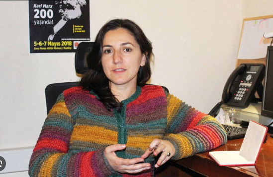 Ali Karahasanoğlu: Galatasaray Üniversitesi’nden Doç. Selin abla, kriz dediği gün, turizmde rekor