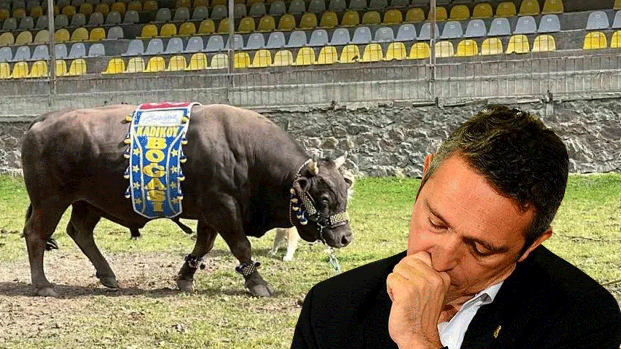 Ali Koç'un yüzü gülmüyor, yine kaybetti! Fenerbahçe marşıyla çıktı, yere serildi!