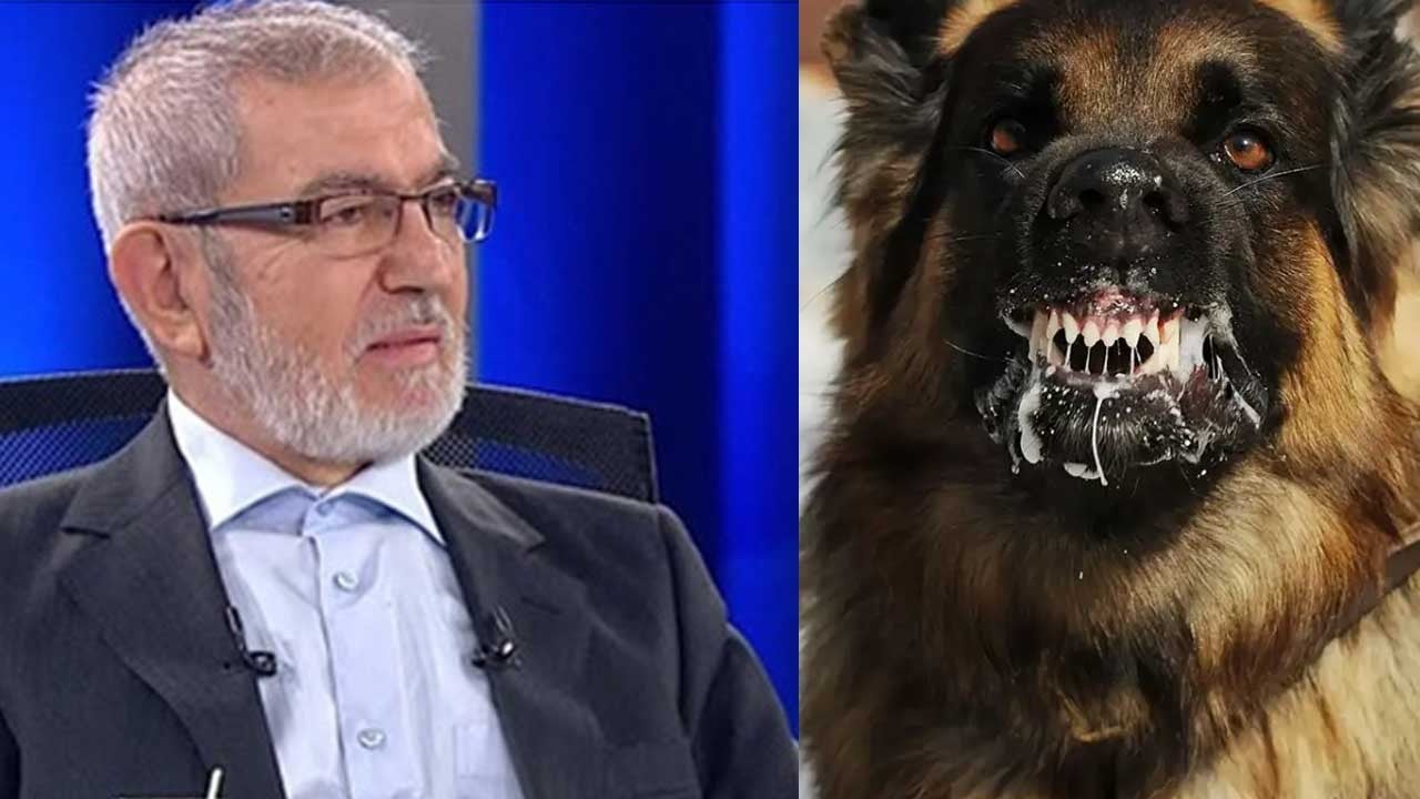 Ali Rıza Demircan Hoca başlığa açıklık getirdi! ‘Siyonist Amerika ve İsrail'in köpeği’