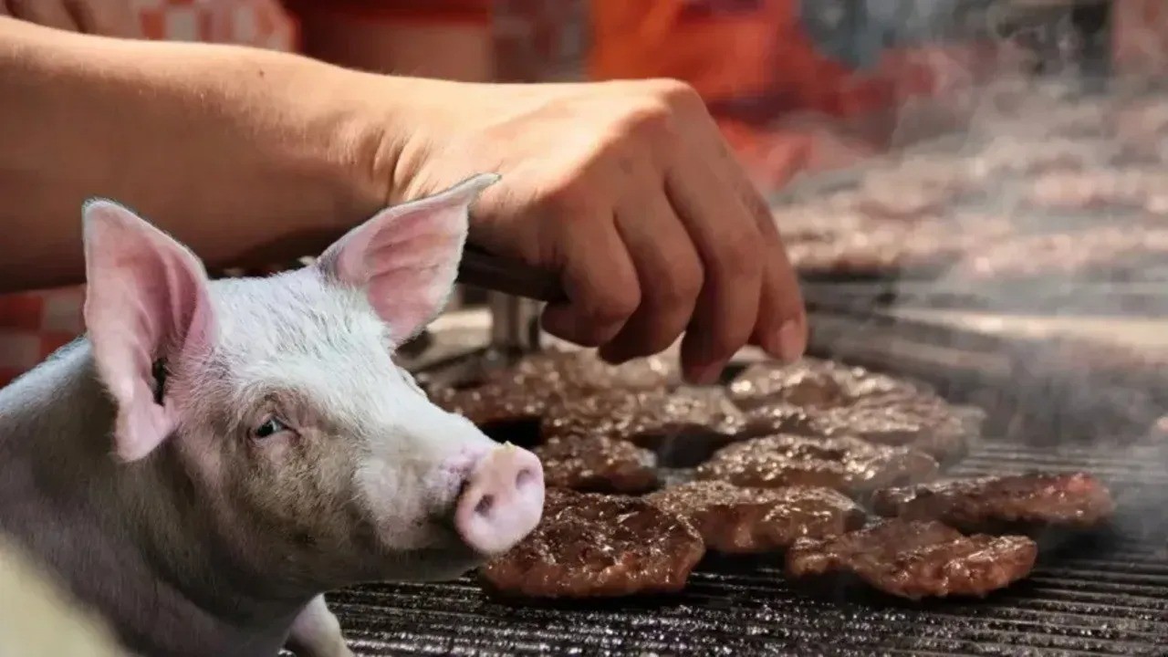 ​Alın firmalarını ellerinden bunların! Domuz eti skandalında şok gerçekler