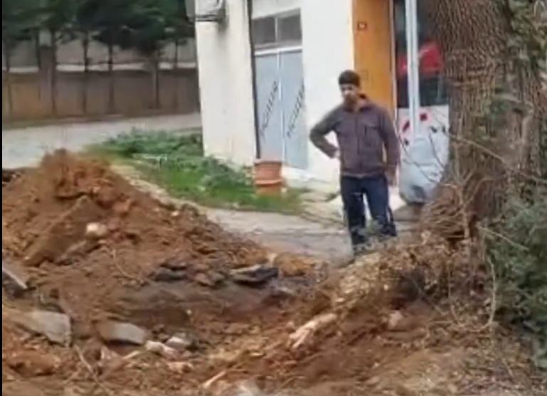 Alın size CHP Belediyeciliği! Milli ağaçlandırma gününe saatler kala ağaç kıyımı