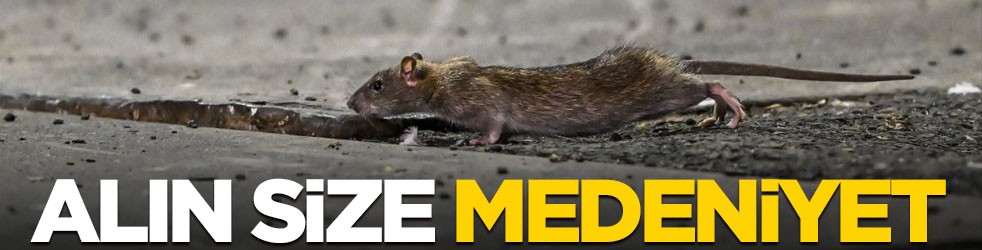 Alın size medeniyet! Laikçiler iyi okusun