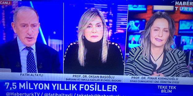 Alın size Penguen belgeseli! İstanbullu can derdinde Altaylı ve Habertürk fosil peşinde