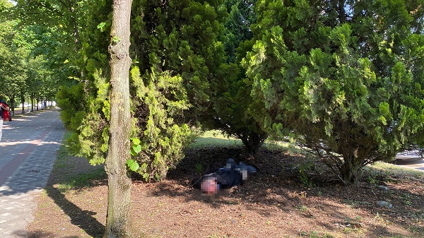 Alkolden ayakta duramadı! Bakın neyi bahane etti