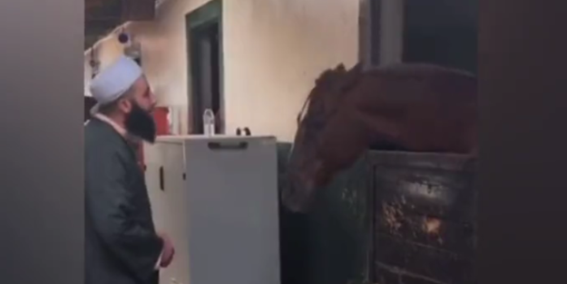 Allah zikrine karşılık veren atın görüntüsü viral oldu!
