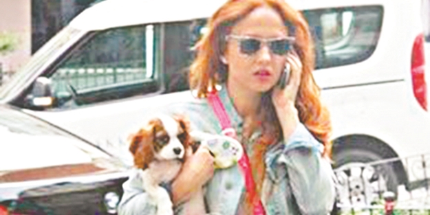 Allah'a kulluk etmeyenleri Cenab-ı Hak köpeklere kul eder