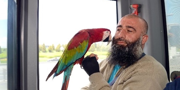 Allah'ı zikreden papağan