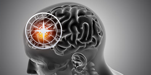 Allah'ın mucizesi... İnsan beyninin bir sırrı daha ortaya çıktı